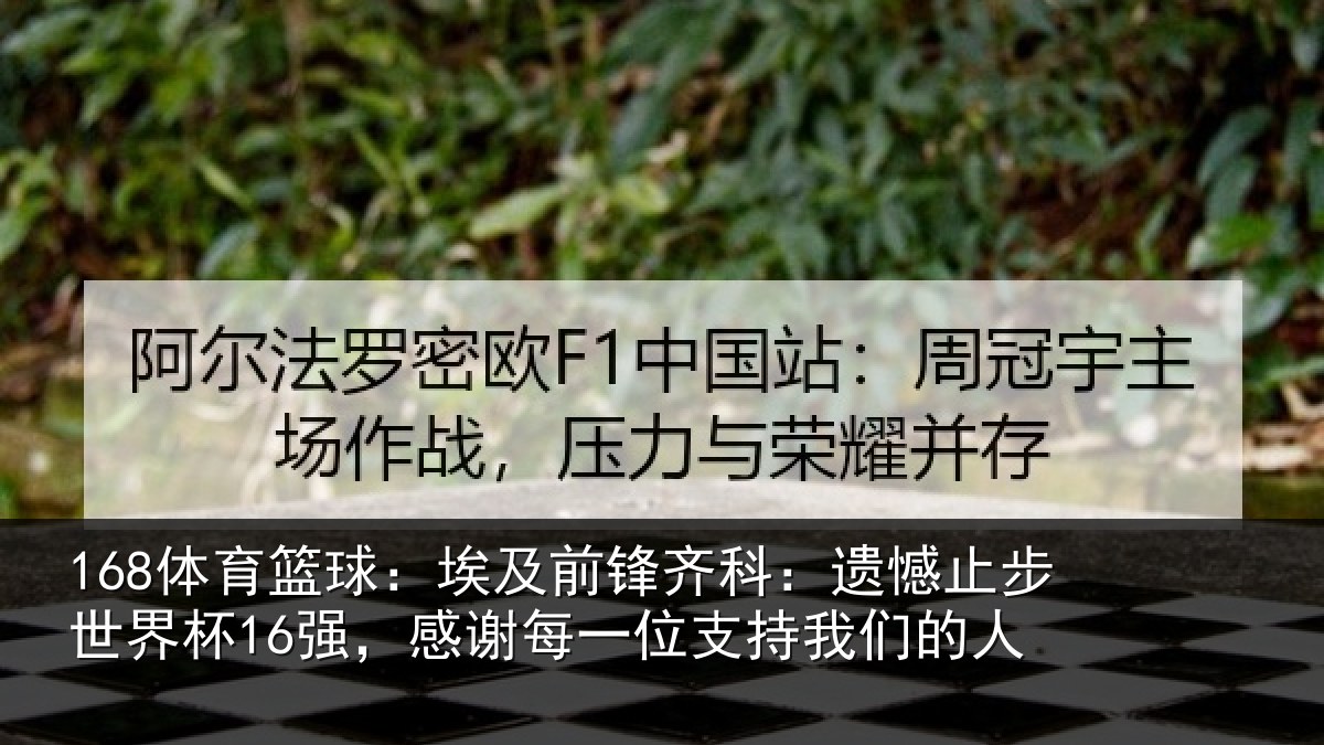 168体育篮球：埃及前锋齐科：遗憾止步世界杯16强，感谢每一位支持我们的人
