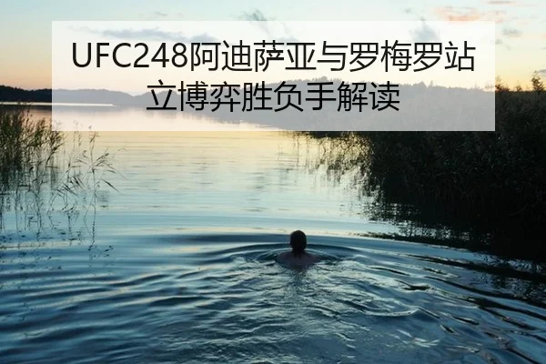 a-di-sa-ya-yu-luo-mei-luo-zhan-li-bo-yi-sheng-fu-shou-jie-du-3-328.jpg