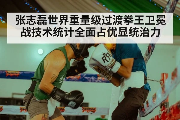 张志磊世界重量级过渡拳王卫冕战技术统计全面占优显统治力